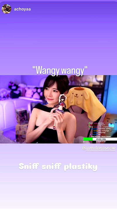 iamdorasnow iamdorasnow archive video