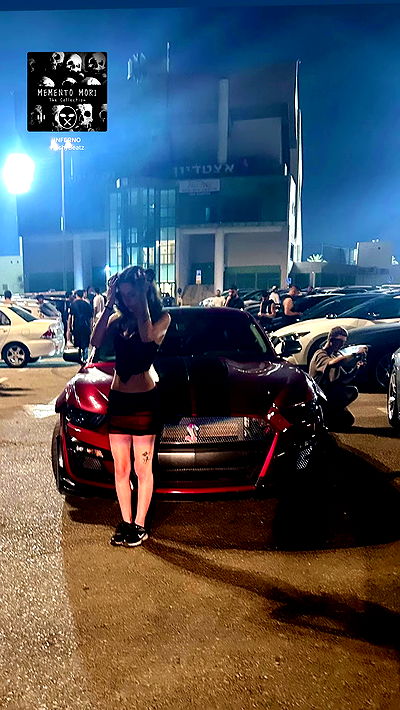 simp_for_cats_ simp_for_cats_ archive video