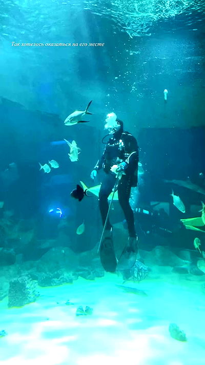 ninja.vi ninja.vi archive video