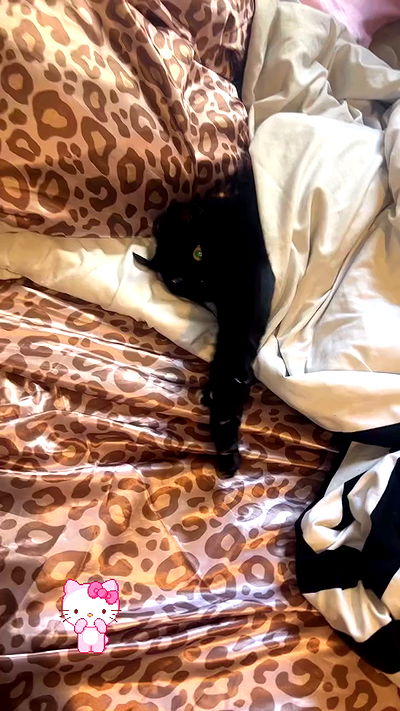 hellokittyangel666 hellokittyangel666 archive video