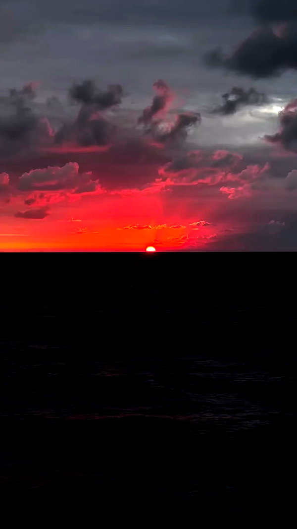 roni_ackerman archive video preview