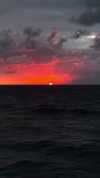roni_ackerman Altpins Profile Picture