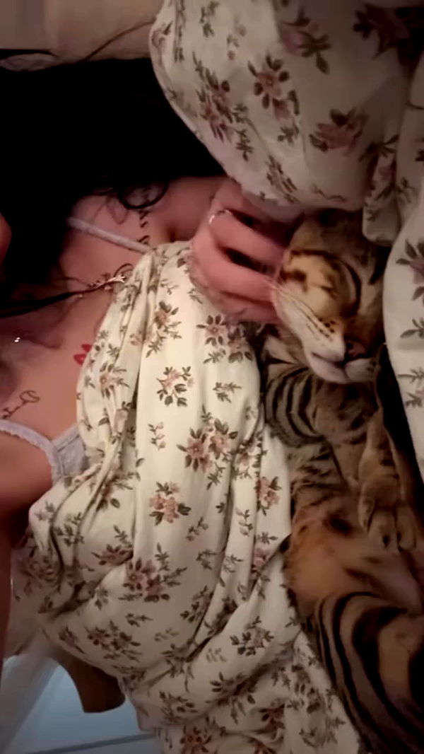 laurinchhhe archive video preview