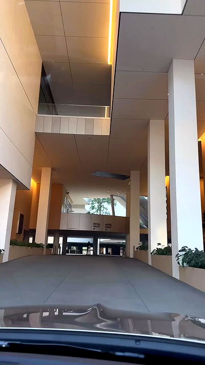 carolinezalog carolinezalog archive video