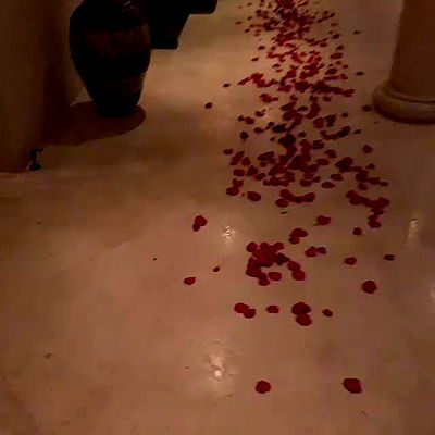 iamcardib iamcardib archive video