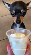 jenny.kaly Altpins Profile Picture