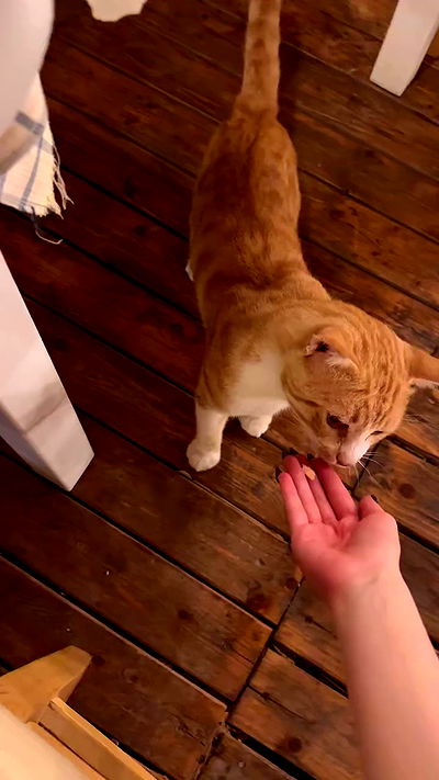 yungbratzh yungbratzh archive video