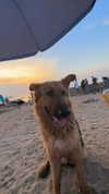 martinadoglioli Altpins Profile Picture