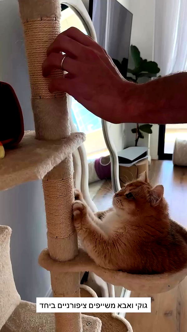 itsilanosh archive video preview