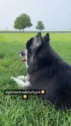 magg0tfleshh Altpins Profile Picture