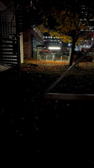 mishel116 mishel116 archive video