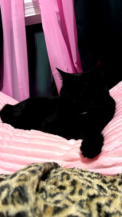 juliaelzz juliaelzz archive video