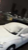lsdxsx Altpins Profile Picture