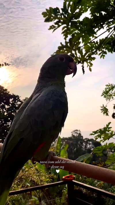 eusandyyh eusandyyh archive video