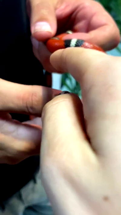 feelbetterinmysweater feelbetterinmysweater archive video