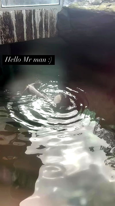 tatum.ricee tatum.ricee archive video