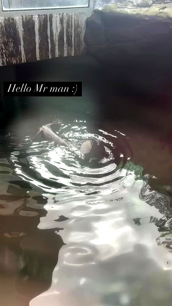 tatum.ricee archive video preview