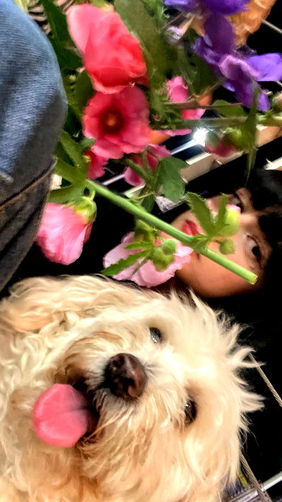 feelbetterinmysweater feelbetterinmysweater archive video