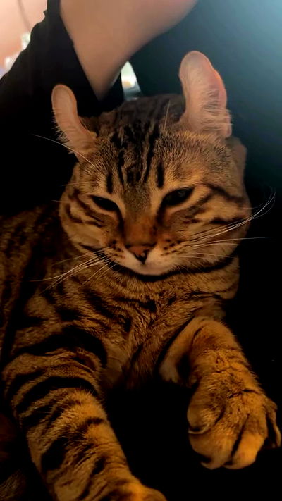 laurinchhhe laurinchhhe archive video