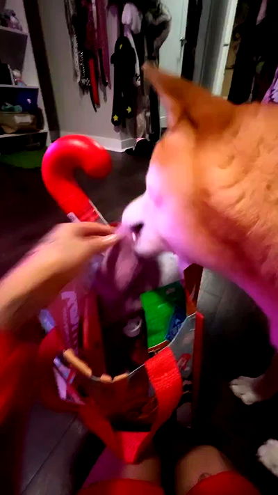 zommmbri zommmbri archive video