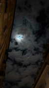 protheme Altpins Profile Picture