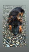 emily_new2 Altpins Profile Picture