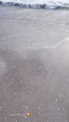 jenny.kaly Altpins Profile Picture