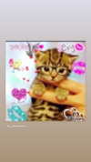 hellowkitty4ever Altpins Profile Picture