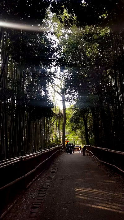 neomiconrad neomiconrad archive video