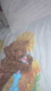 agam._.harel Altpins Profile Picture