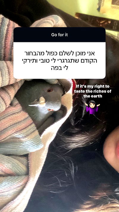 feelbetterinmysweater feelbetterinmysweater archive video