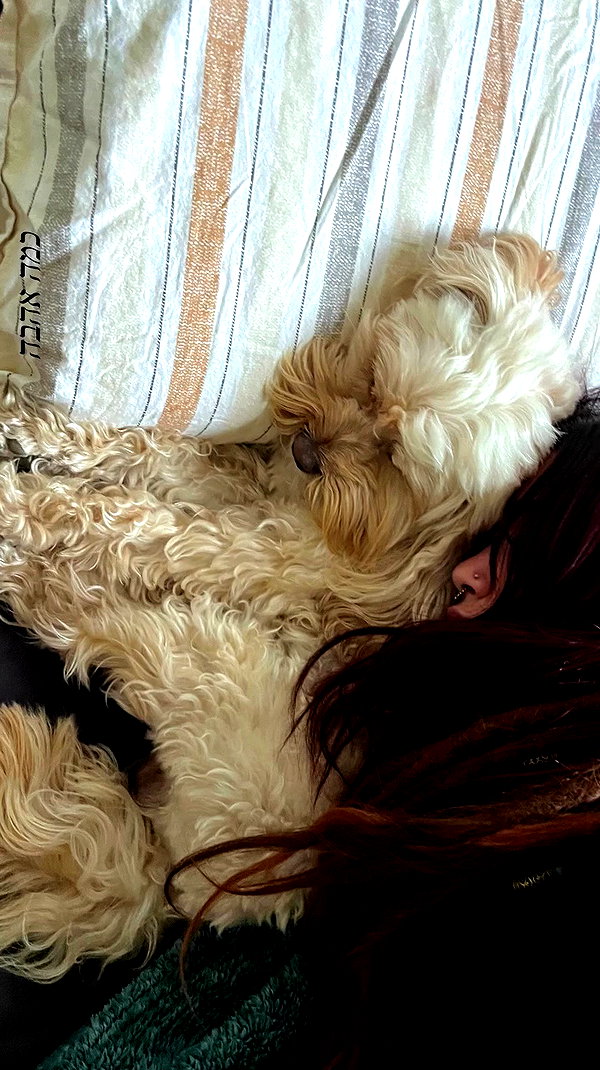 hadas_mayer_ archive video preview
