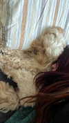 hadas_mayer_ Altpins Profile Picture