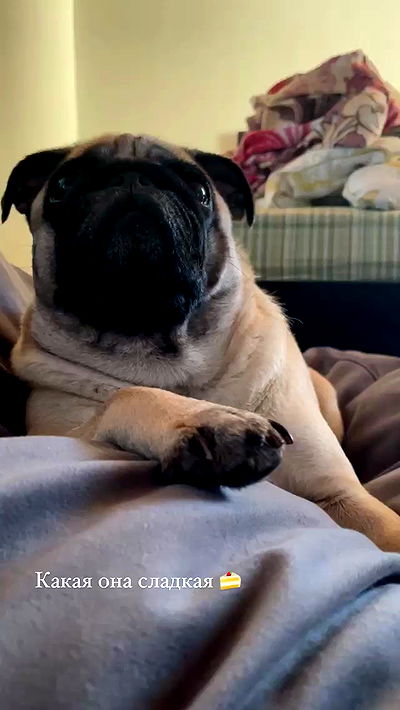 nyityam nyityam archive video