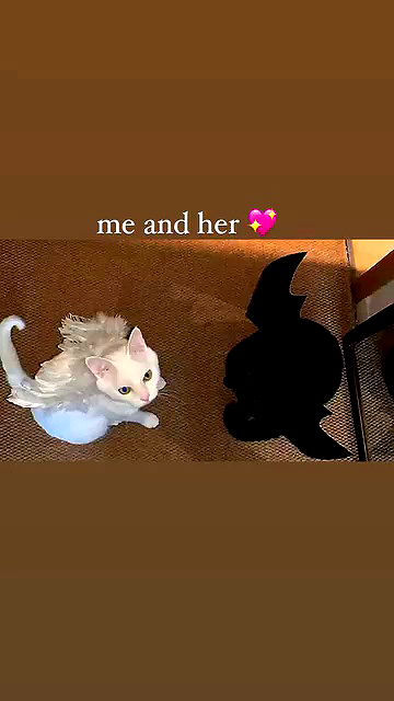 hellokittyangel666 hellokittyangel666 archive video