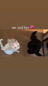 hellokittyangel666 Altpins Profile Picture