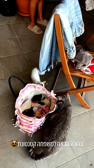 natalllluli natalllluli archive video