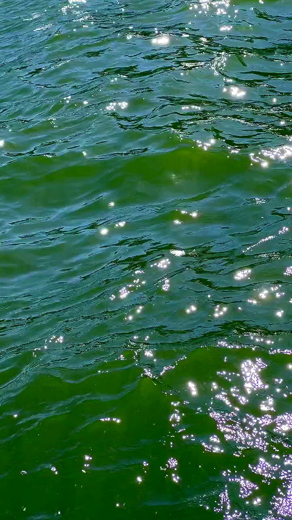 itsilanosh archive video preview