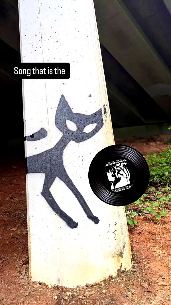zz.eazoning archive video preview