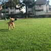 lesliemariemoreno Altpins Profile Picture