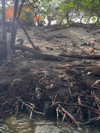 isabela_quintero25 Altpins Profile Picture
