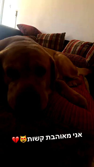 lissi77 lissi77 archive video