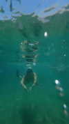 _ariel_lll Altpins Profile Picture