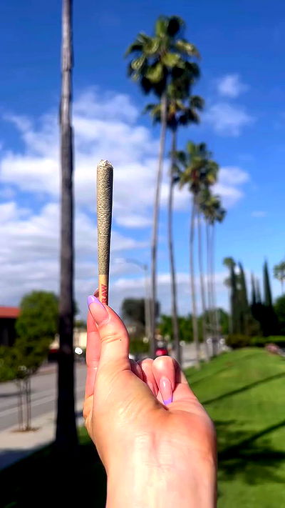 bakedsloths bakedsloths archive video