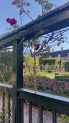 sonya_fisher_ Altpins Profile Picture