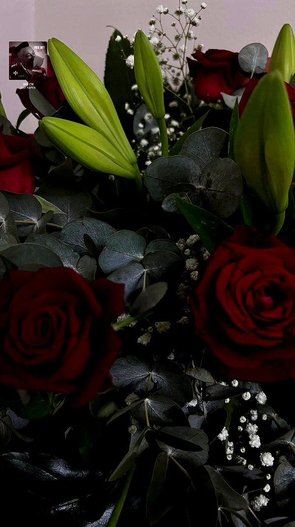 diana.minaev_ archive video preview