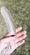 calyen Altpins Profile Picture