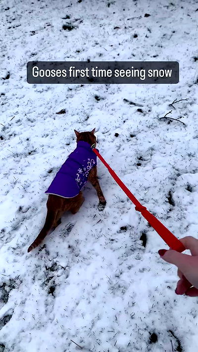 winbun.io winbun.io archive video