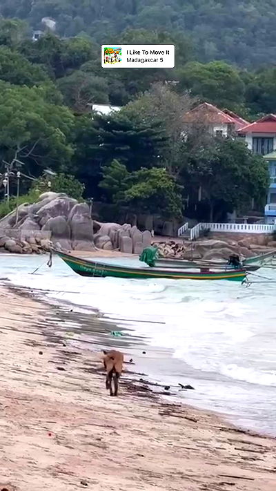 kesemgreenyer kesemgreenyer archive video