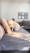 livvy_gymnast Altpins Profile Picture